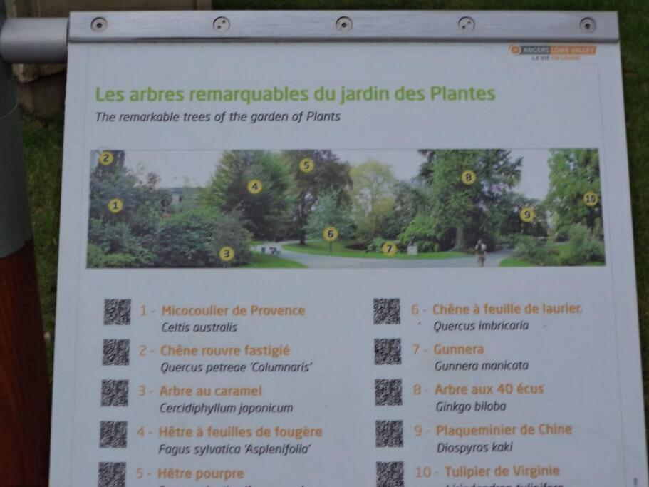 Appartamento Le Grey-Jardin Des Plantes-Centre Des Congres Angers Esterno foto